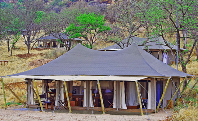 Serengeti Pioneer Camp