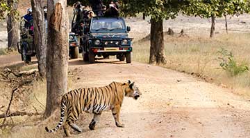 01-inthepench
