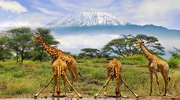 Amboseli-national-Park-02