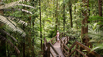 cairns-reef-and-rainforest-02