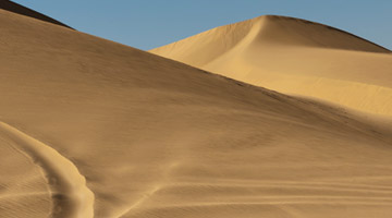 dunes-discovery-tour-01