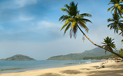 goa02