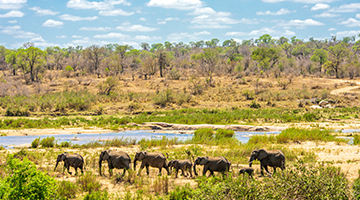 Kruger-National-Park-03-aworlg