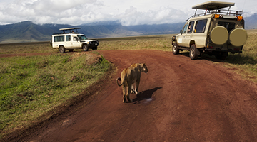 Ngorongoro-Crater-01-imj