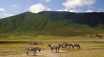 Ngorongoro-Crater-01-ntaraol