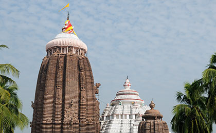 puri1