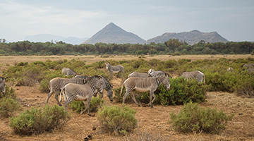 Samburu-National-Reserve-02