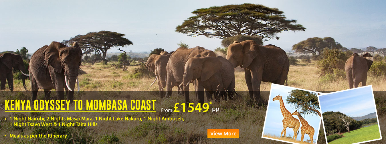 KENYA-ODYSSEY-TO-MOMBASA-COAST-v1-region-banner