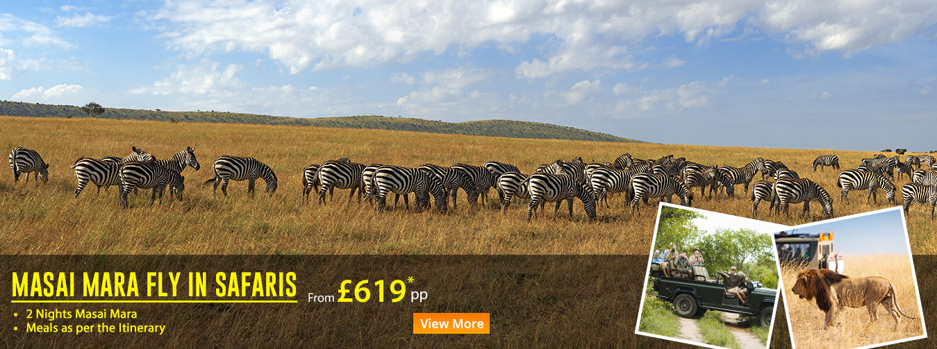 MASAI-MARA-FLY-IN-SAFARIS-v1-egion-kenya-banner