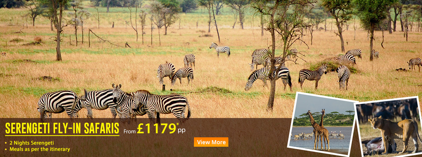 SERENGETI-FLY-IN-SAFARIS-v2-ST-AH-BANNER1
