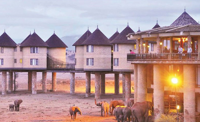 Sarova Salt Lick Game Lodge